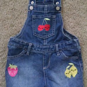 The Childrens Place Denim Embroidered Overalls 3T